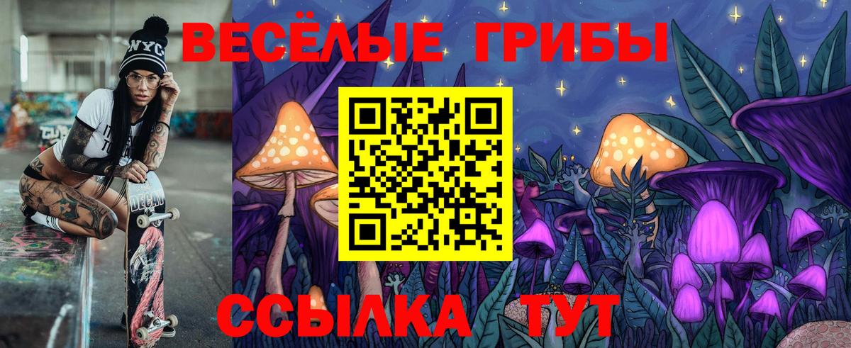 A PVP Тайшет