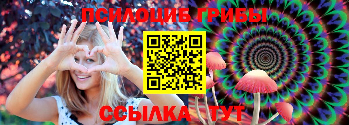 Псилоцибиновые грибы Magic Shrooms  Вход с VPN  Тайшет 